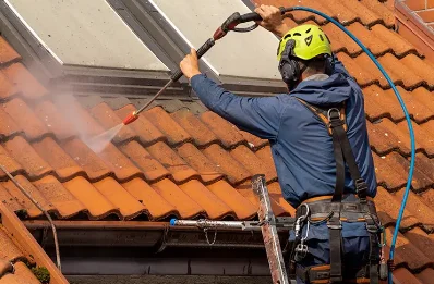 Démoussage et hydrofuge de toiture à Vernoux